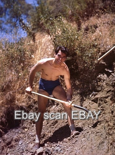 Rory calhoun barechested - rory,
